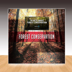 Replacement Graphic for FS-LB-MT - Godfrey Group