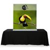 Table Top Retractable Displays In Four Sizes - Godfrey Group